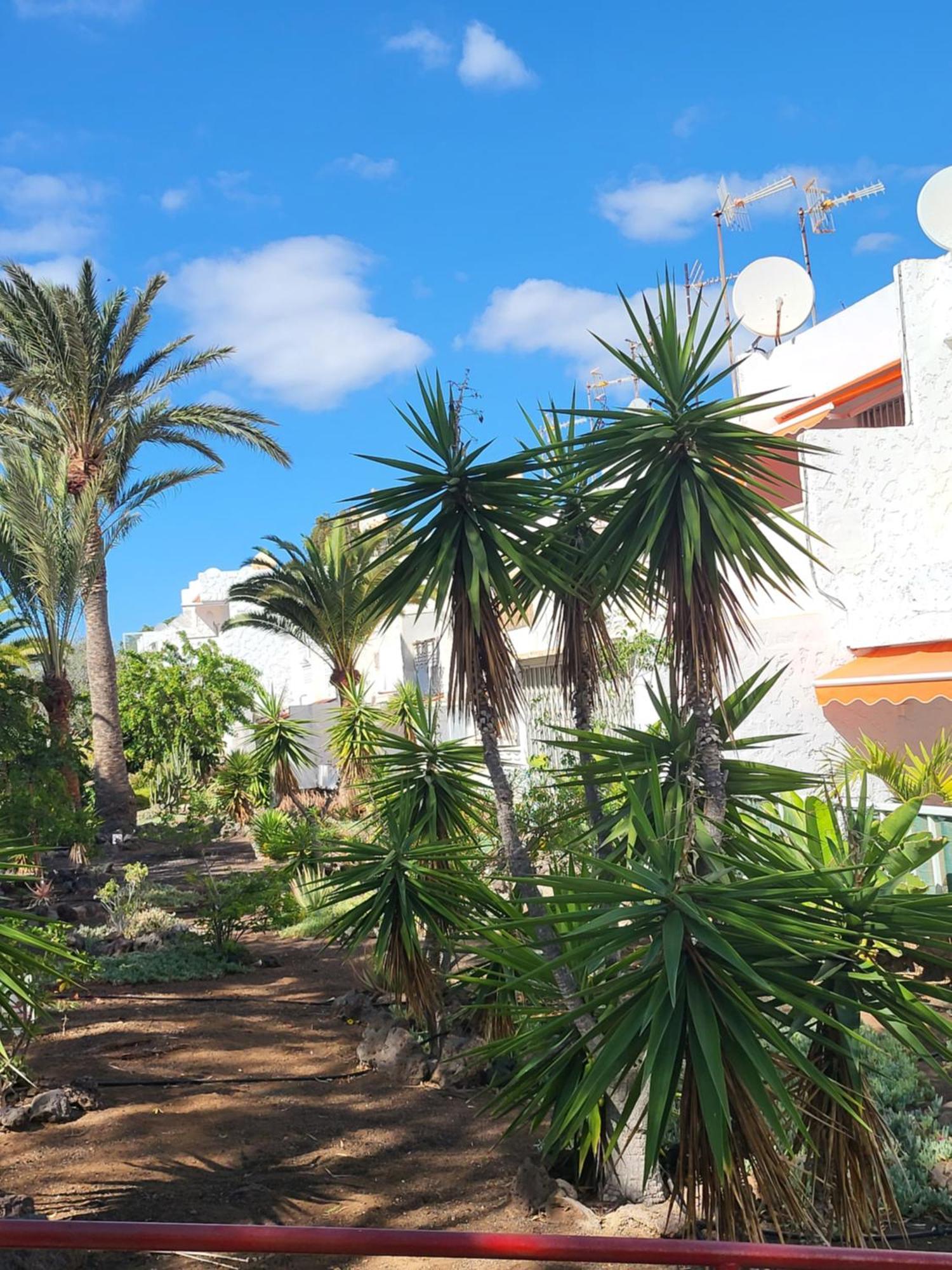 Casa Iry Apartment Costa Del Silencio Exterior photo